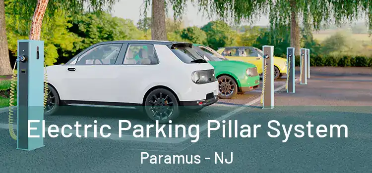  Electric Parking Pillar System Paramus - NJ