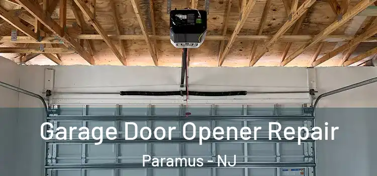  Garage Door Opener Repair Paramus - NJ