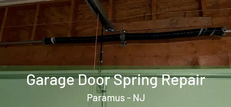  Garage Door Spring Repair Paramus - NJ