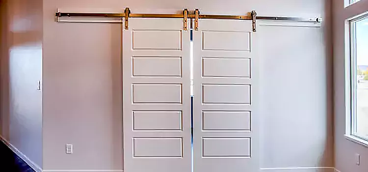 Glass Barn Door with Installation Hardware Kit Paramus
