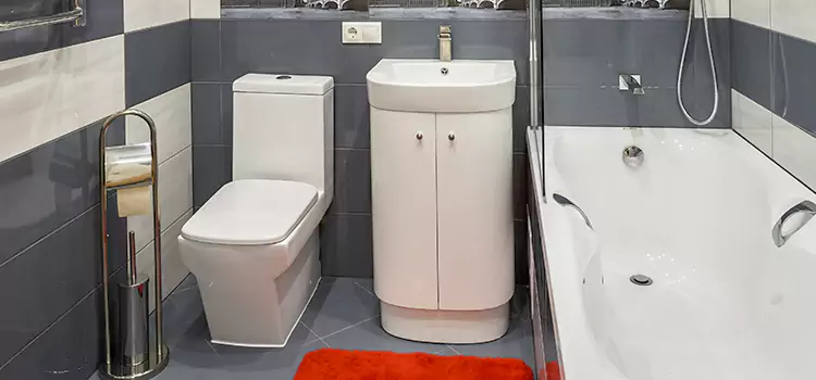Hansgrohe Shaving Mirror Paramus